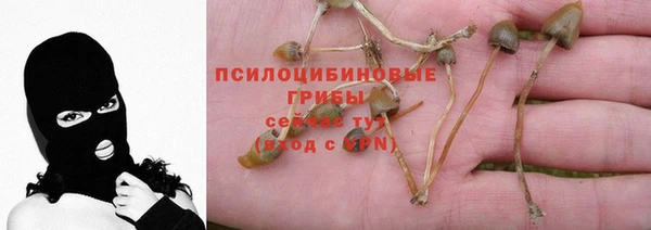 прущий лед Володарск