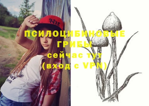 МДПВ Волосово