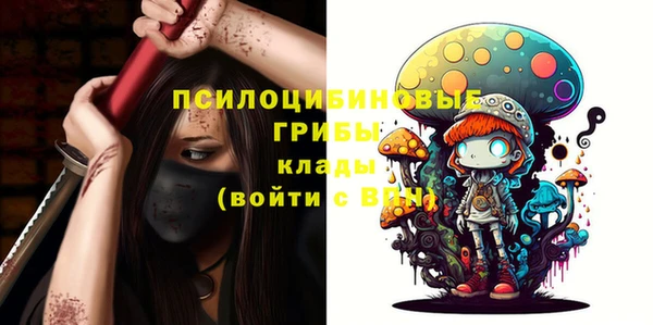 МДПВ Волосово