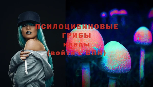 МДПВ Волосово