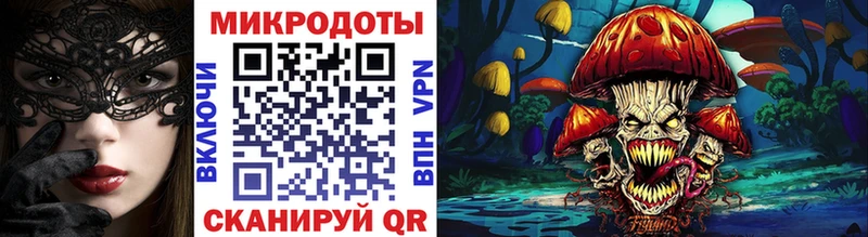 Купить где  Судак  Псилоцибиновые грибы GOLDEN TEACHER 