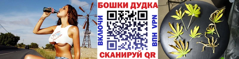Купить  Судак  Шишки марихуана MAZAR 